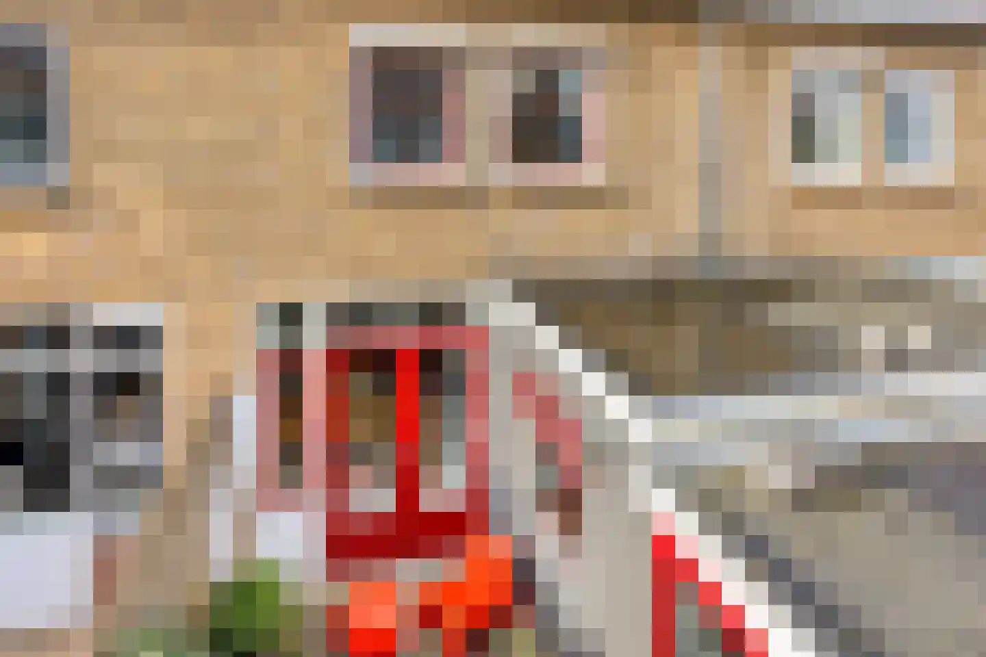 L. Huismanstraat 28 Kampen thumbnail 48