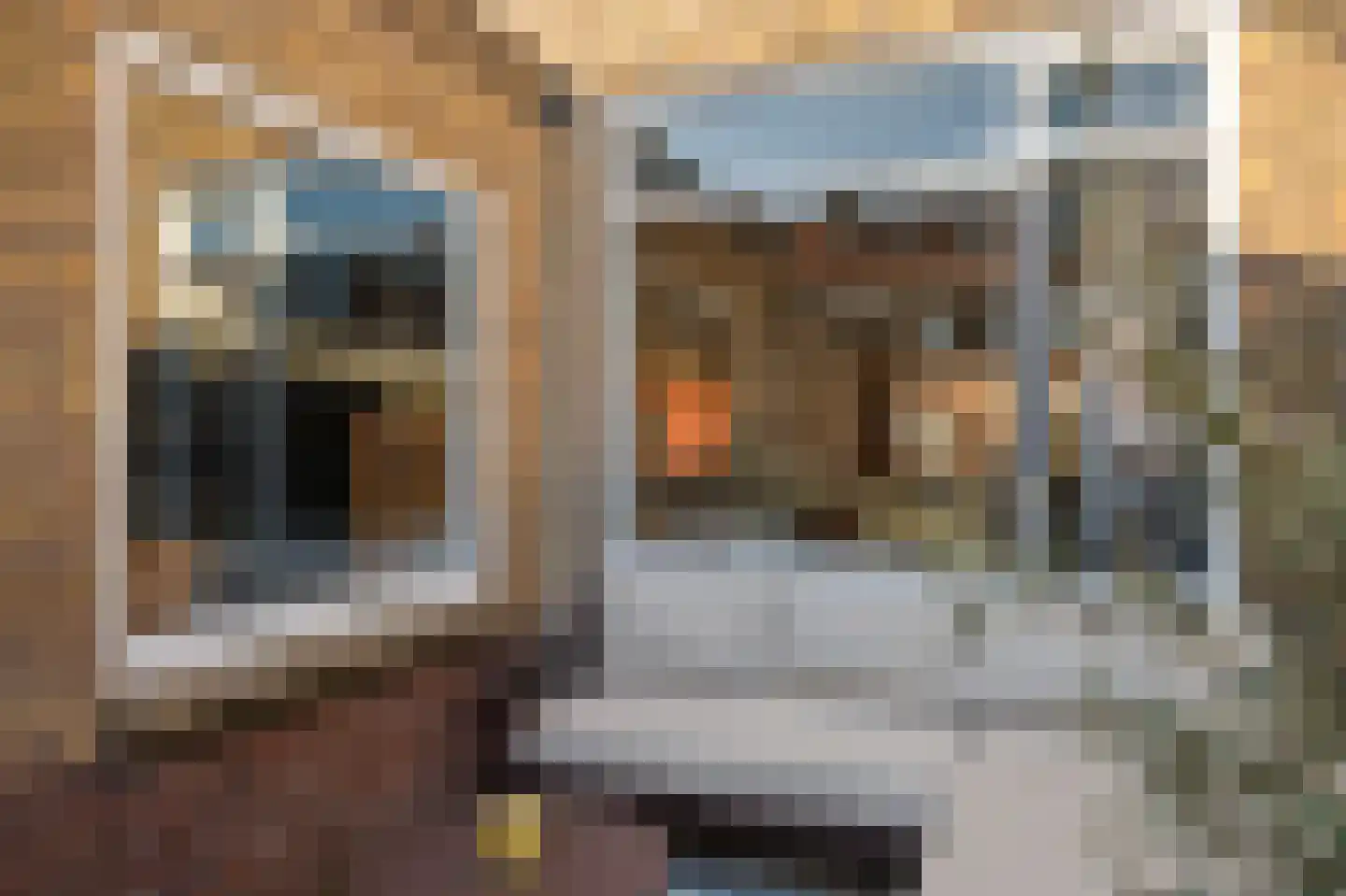 L. Huismanstraat 30 Kampen thumbnail 6