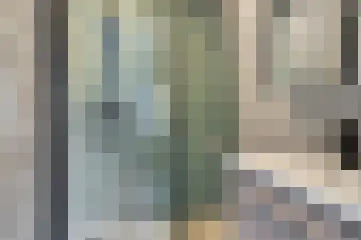 L. Huismanstraat 4 Kampen thumbnail 4