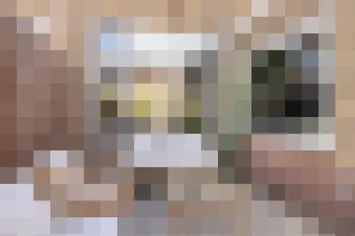 L. Huismanstraat 4 Kampen thumbnail 40