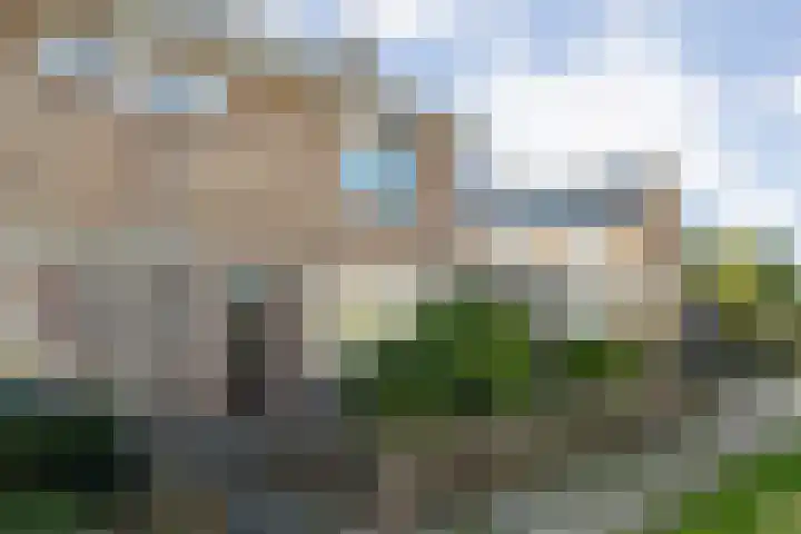 L.J. Timmerstraat 40 Bolsward thumbnail 4