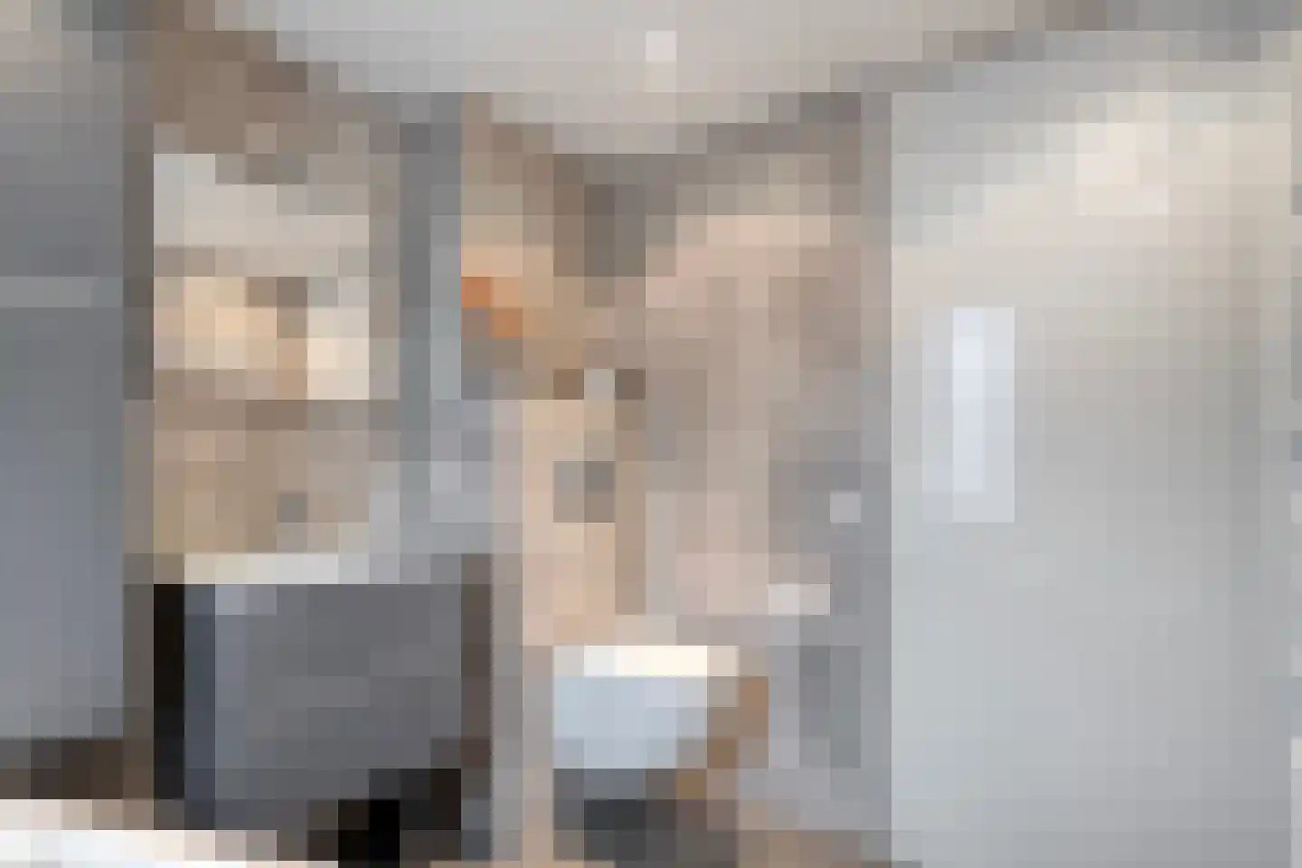 L.O.-laan 23 Meppel thumbnail 31