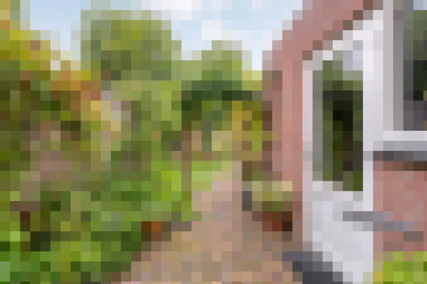 L.O.-laan 23 Meppel thumbnail 44