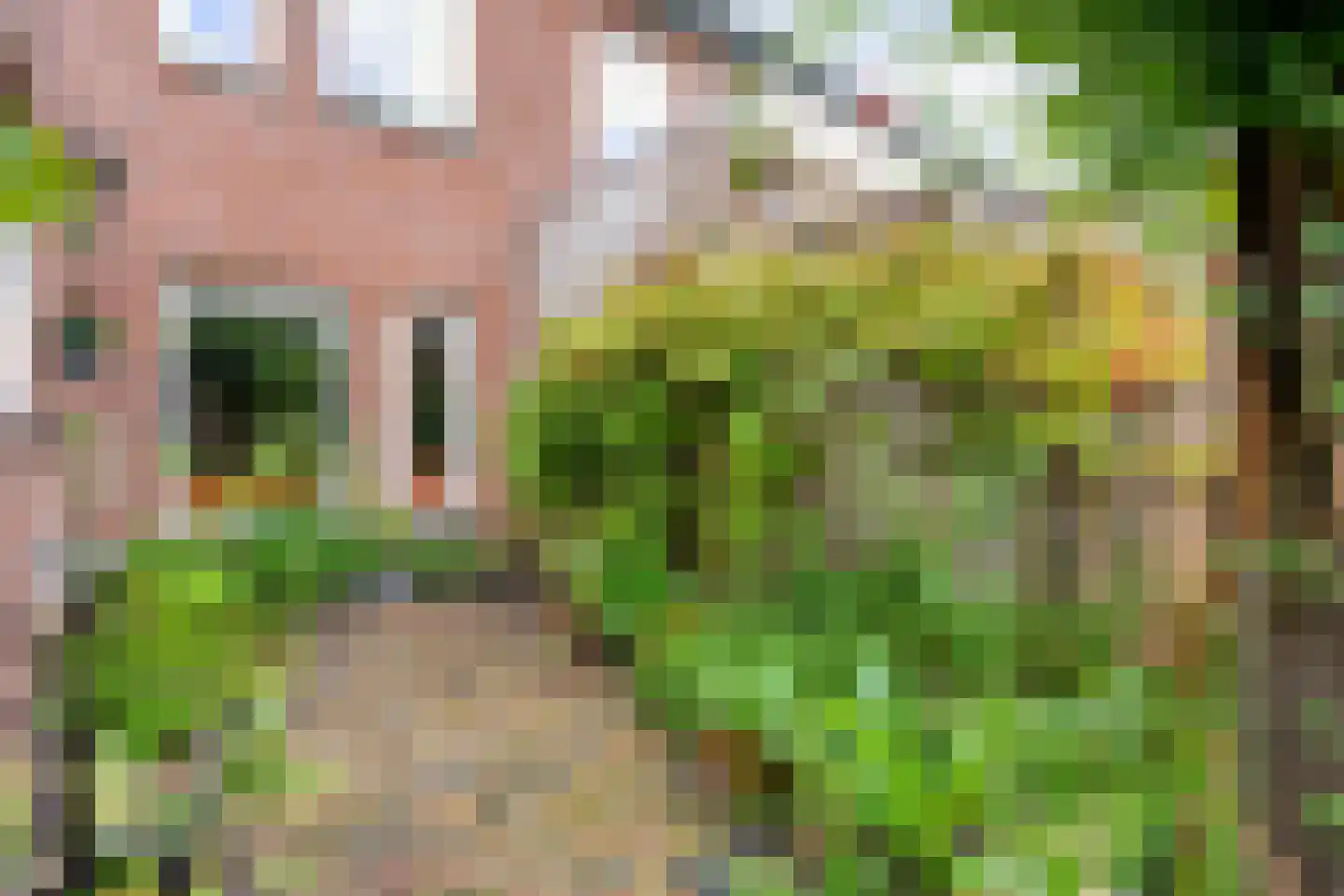 L.O.-laan 23 Meppel thumbnail 45