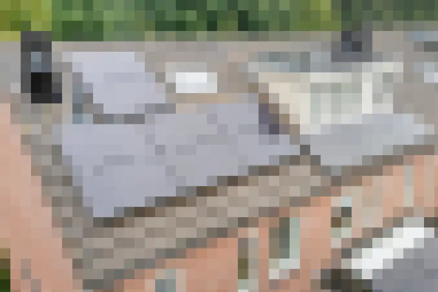 L.O.-laan 23 Meppel thumbnail 58