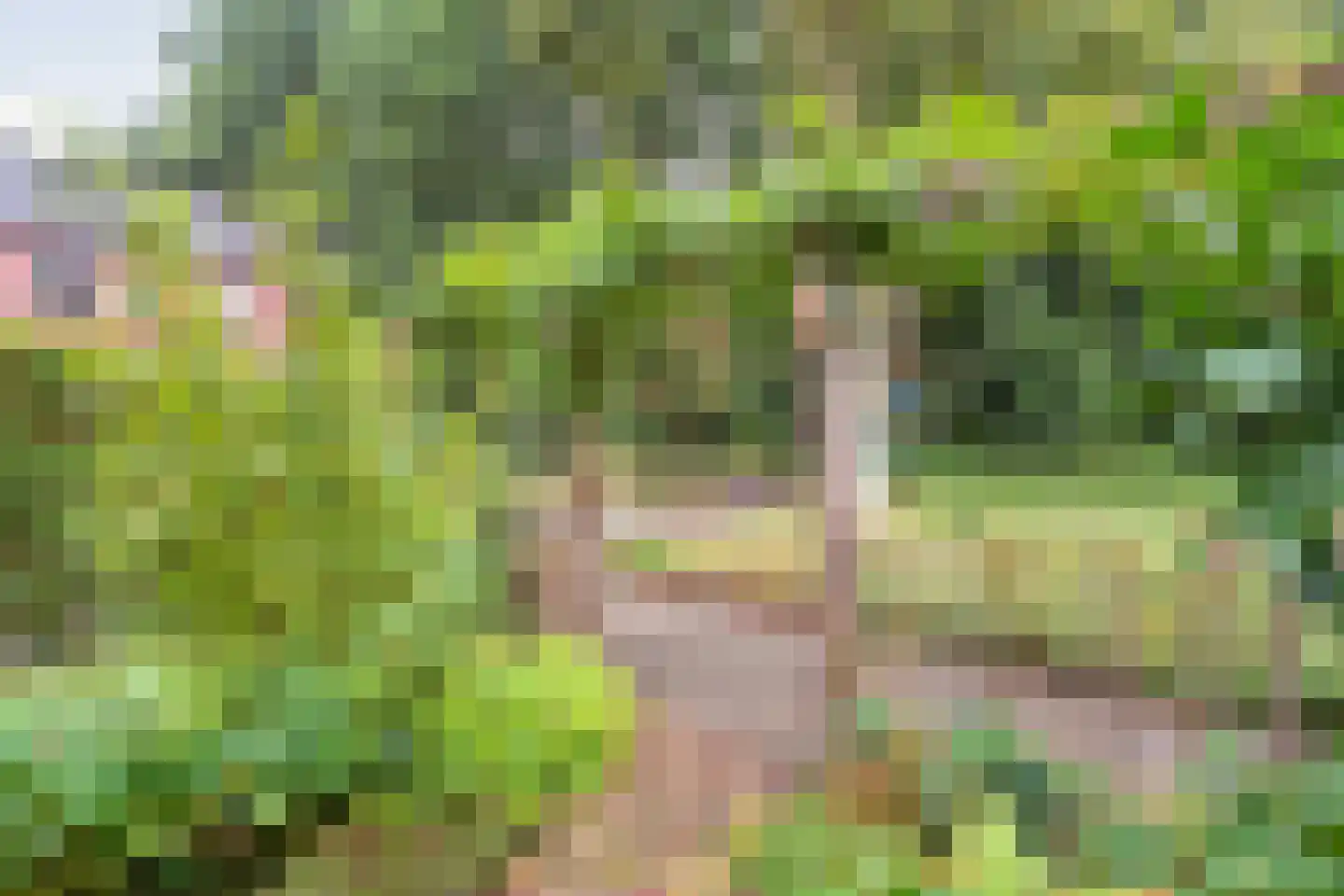 L.O.-laan 23 Meppel thumbnail 6
