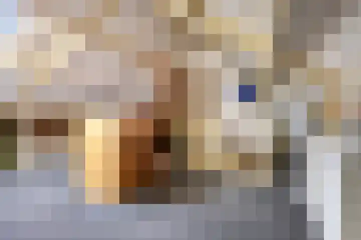 L.O.-laan 4 Meppel thumbnail 28