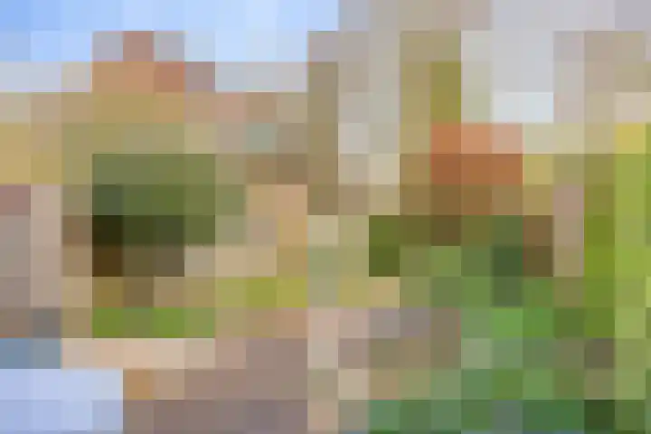 L.O.-laan 4 Meppel thumbnail 29