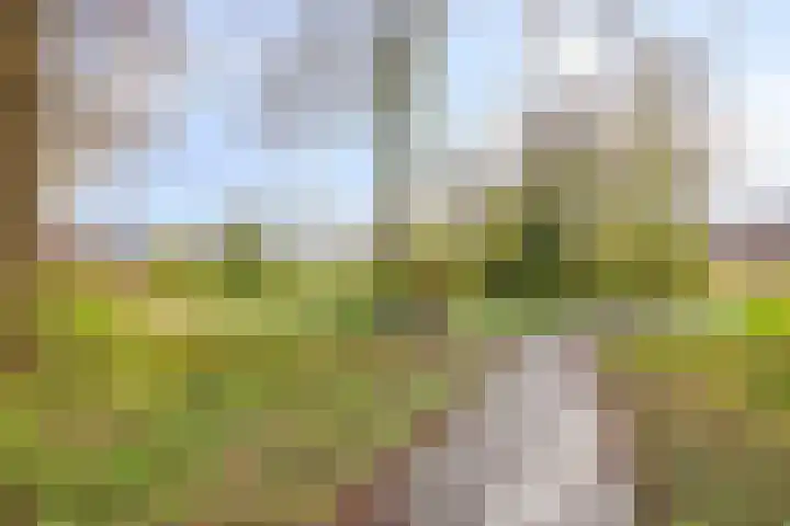 L.O.-laan 4 Meppel thumbnail 34
