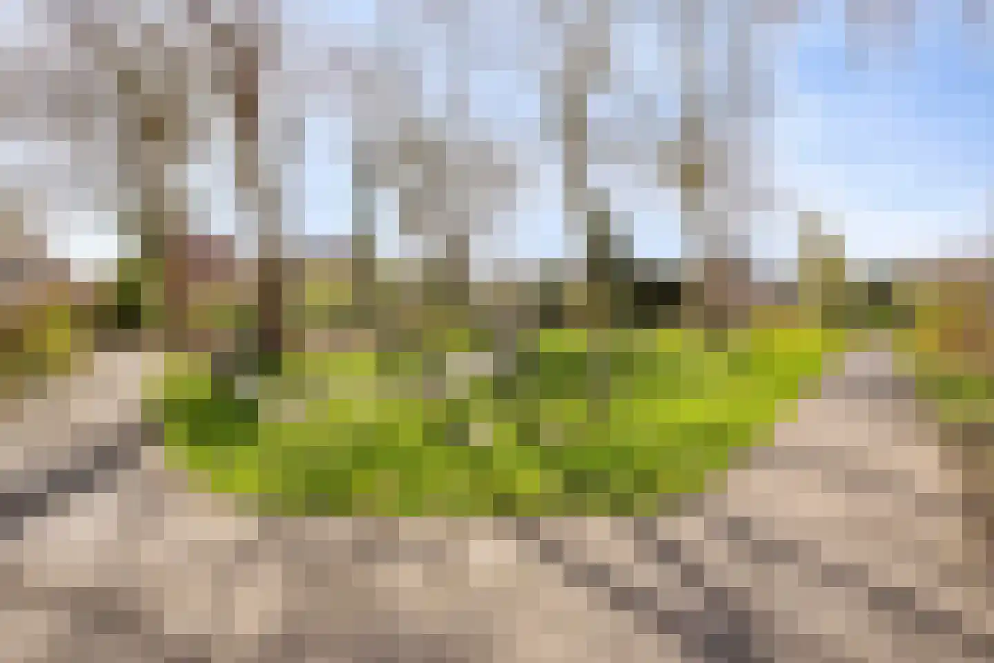 L.O.-laan 4 Meppel thumbnail 36