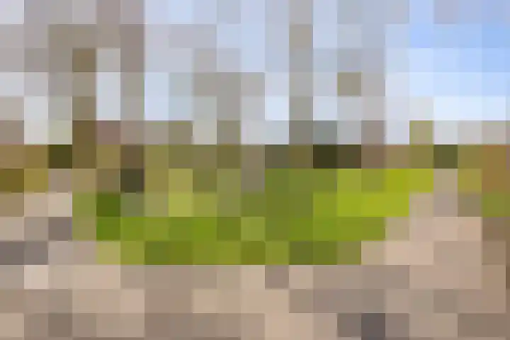 L.O.-laan 4 Meppel thumbnail 36