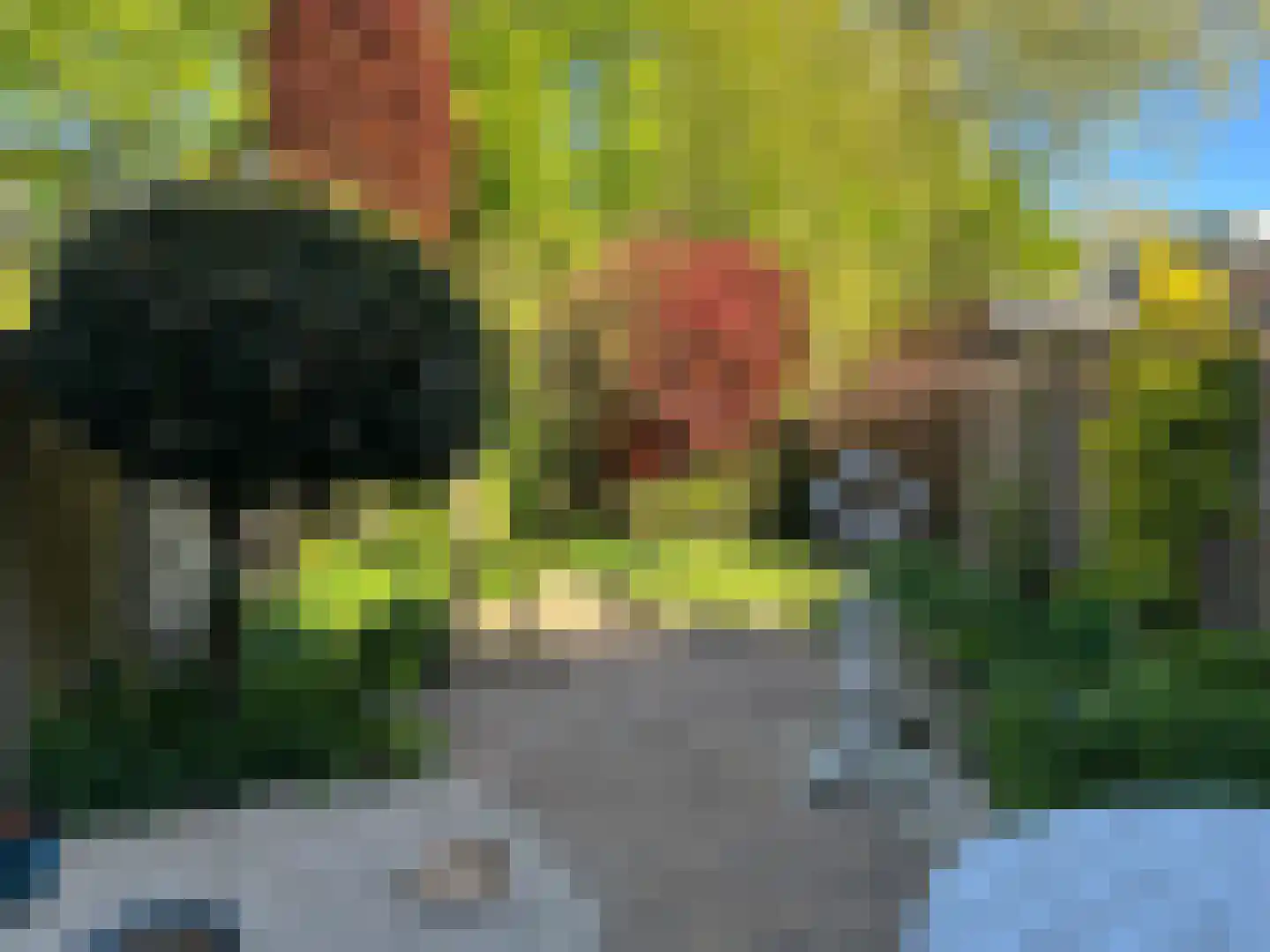 L.O.-laan 4 Meppel thumbnail 4