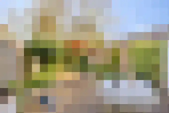 L.O.-laan 4 Meppel thumbnail 4