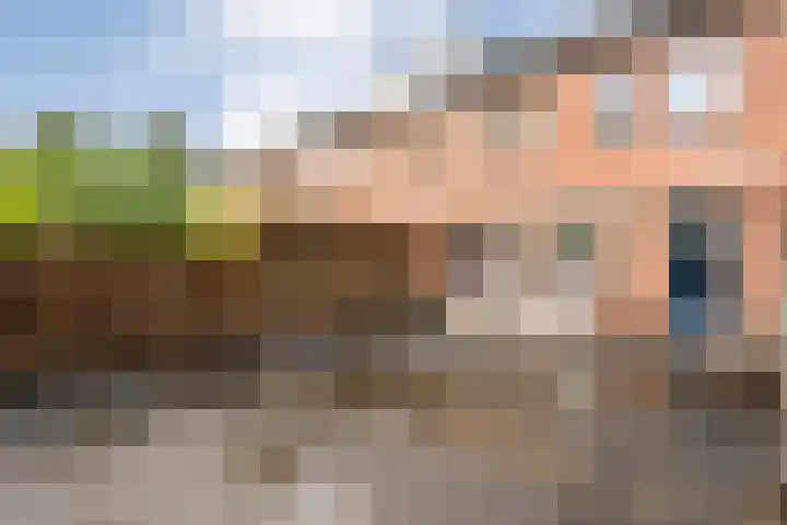 L.O.-laan 8 Meppel thumbnail 25