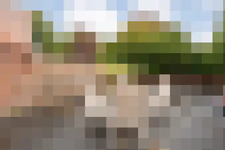 L.O.-laan 8 Meppel thumbnail 26