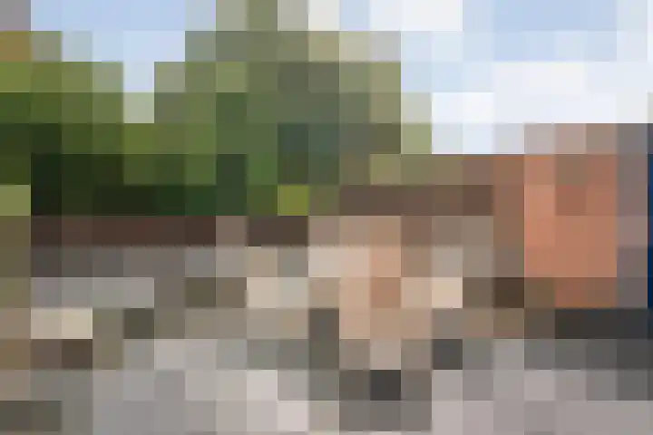 L.O.-laan 8 Meppel thumbnail 27