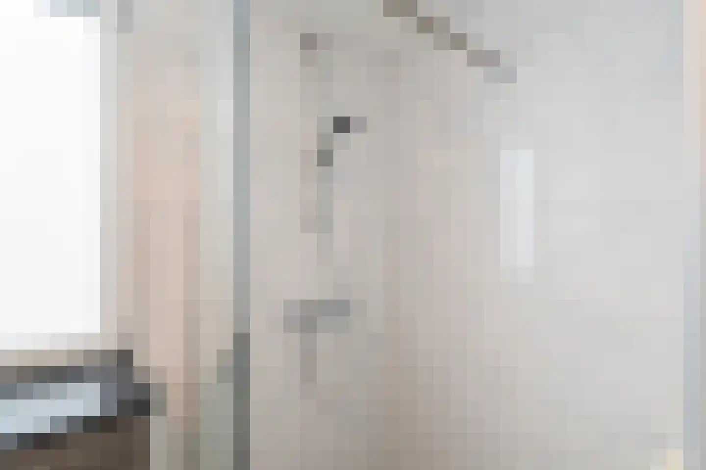 L. Pietersestraat 45 Breezand thumbnail 31