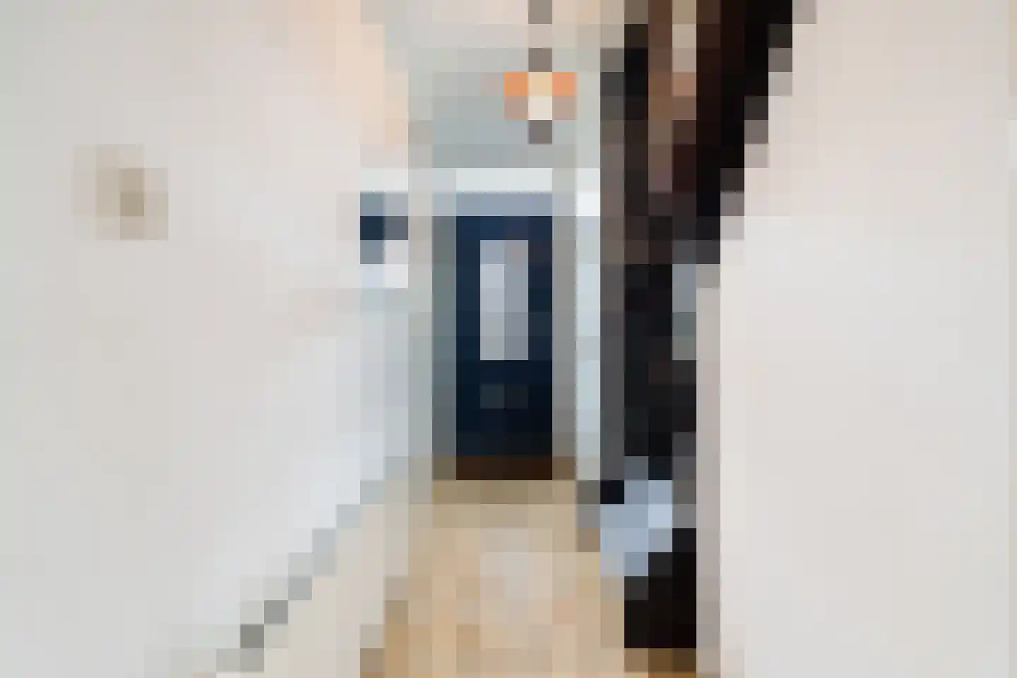 L. Pietersestraat 45 Breezand thumbnail 5