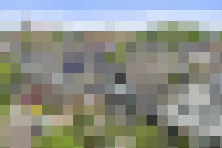 L. Pietersestraat 73 Breezand thumbnail 30