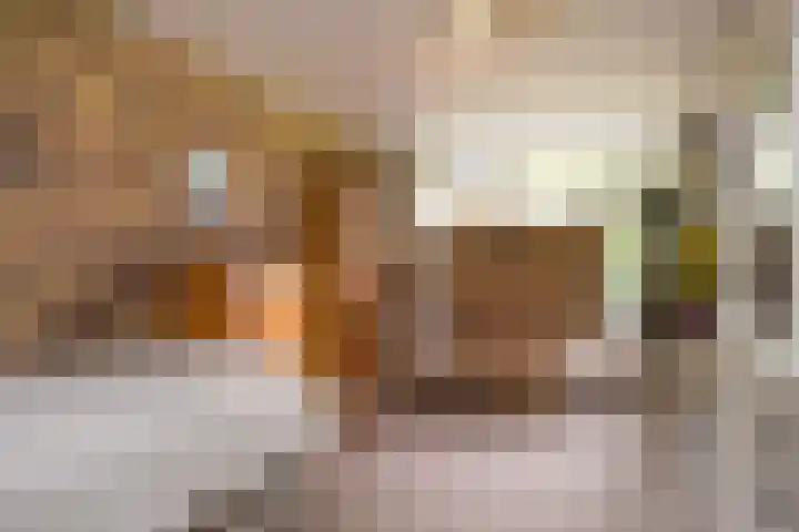 L.R. Beijnenlaan 15 Brummen thumbnail 11