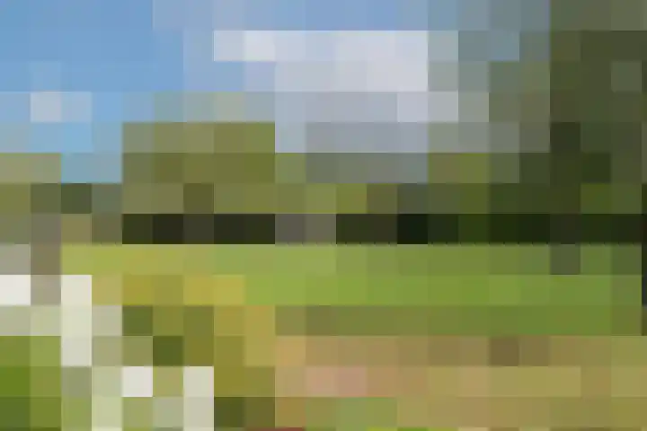 L.R. Beijnenlaan 15 Brummen thumbnail 19
