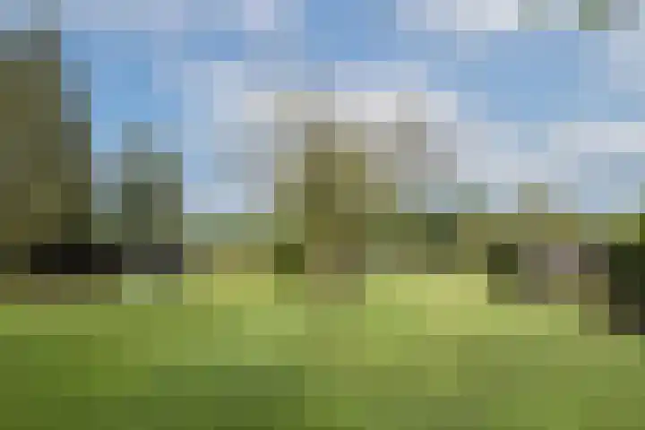L.R. Beijnenlaan 15 Brummen thumbnail 20