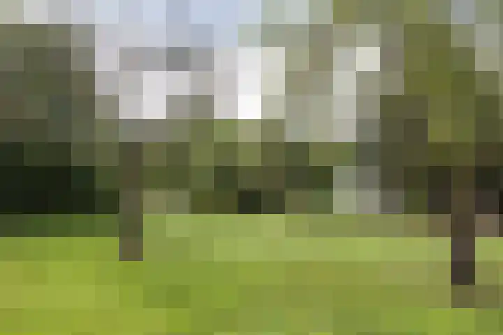 L.R. Beijnenlaan 15 Brummen thumbnail 21