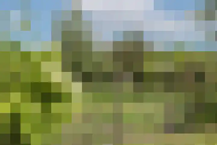 L.R. Beijnenlaan 15 Brummen thumbnail 22
