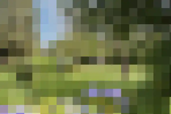 L.R. Beijnenlaan 15 Brummen thumbnail 23