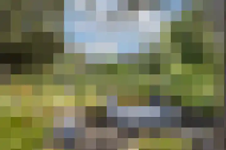 L.R. Beijnenlaan 15 Brummen thumbnail 24