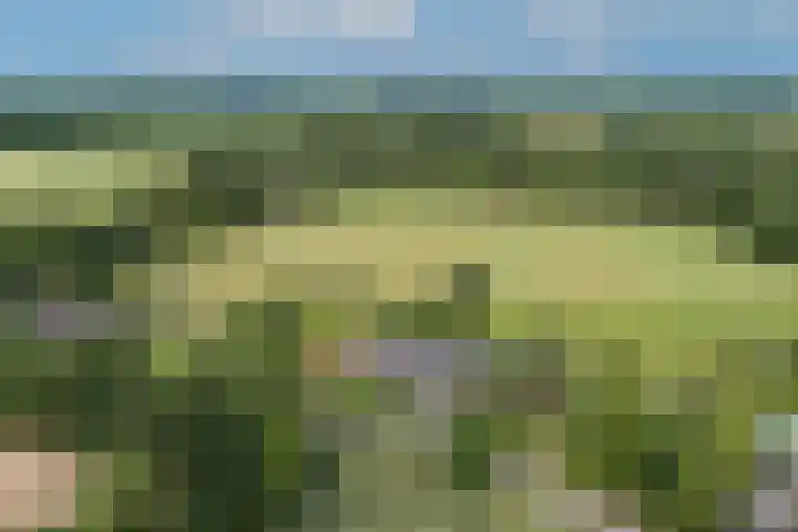 L.R. Beijnenlaan 15 Brummen thumbnail 25