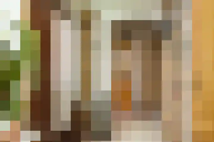 L.R. Beijnenlaan 15 Brummen thumbnail 4