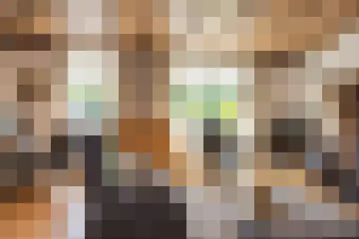 L.R. Beijnenlaan 15 Brummen thumbnail 6