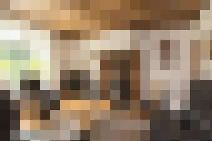 L.R. Beijnenlaan 15 Brummen thumbnail 7