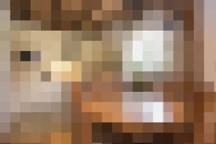 L.R. Beijnenlaan 15 Brummen thumbnail 9