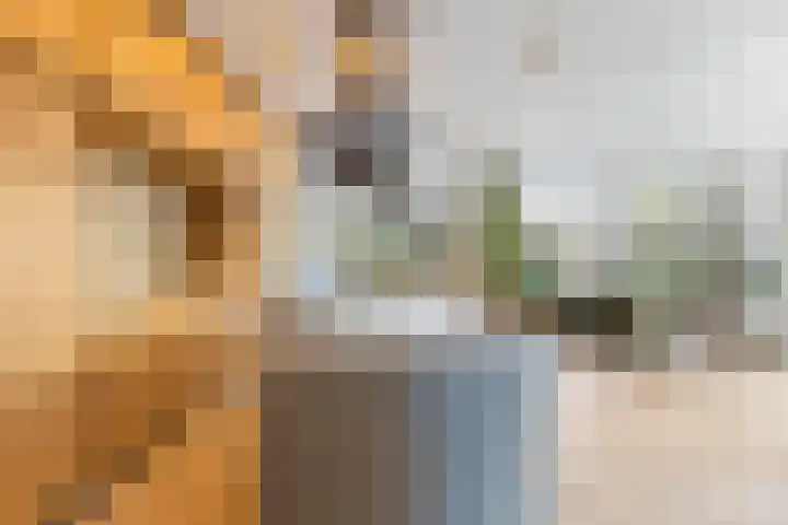 L. Rotgansstraat 2 Maarssen thumbnail 14