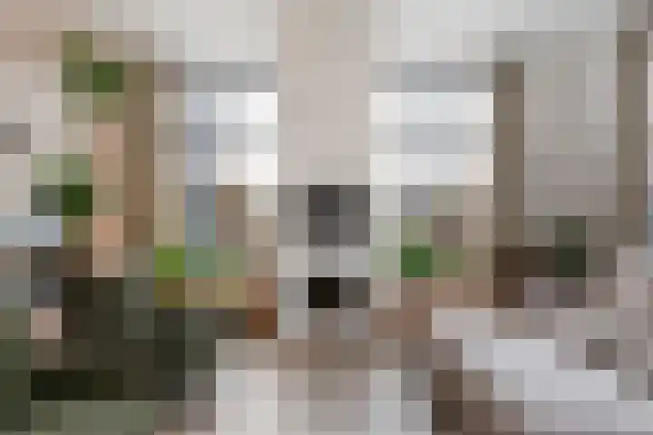 L. Rotgansstraat 2 Maarssen thumbnail 37