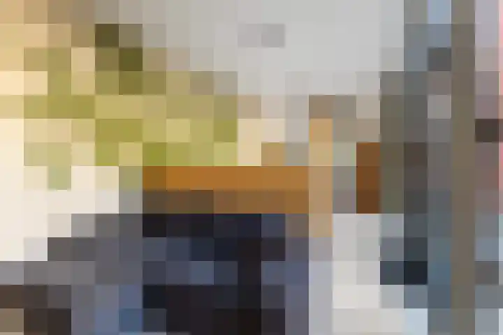 L. Rotgansstraat 2 Maarssen thumbnail 39