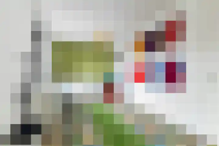L. Rotgansstraat 2 Maarssen thumbnail 48
