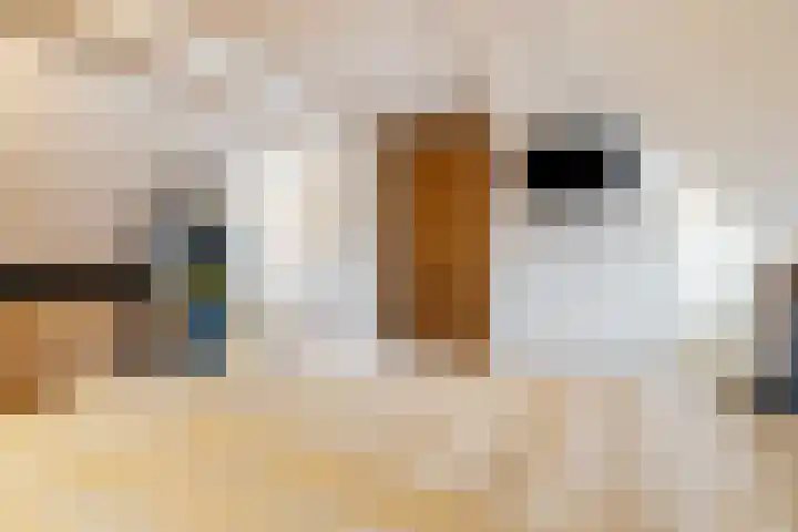 L. Rotgansstraat 2 Maarssen thumbnail 66