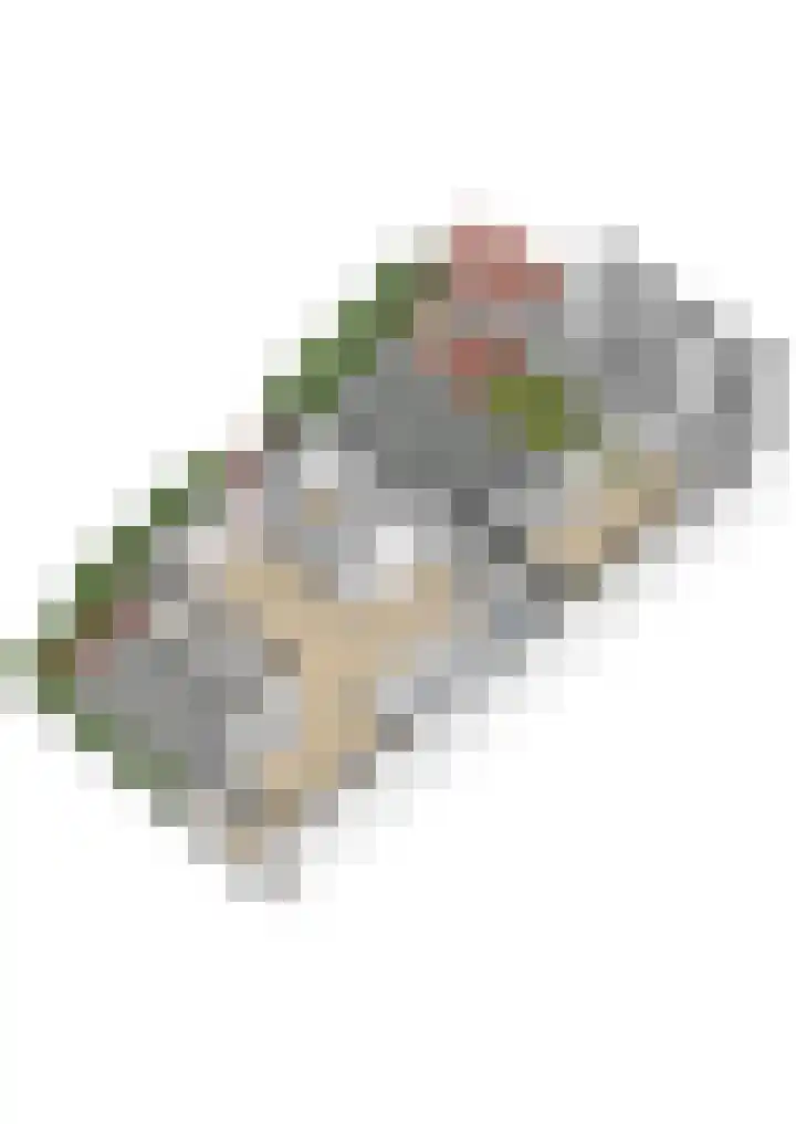 L. Rotgansstraat 2 Maarssen thumbnail 93