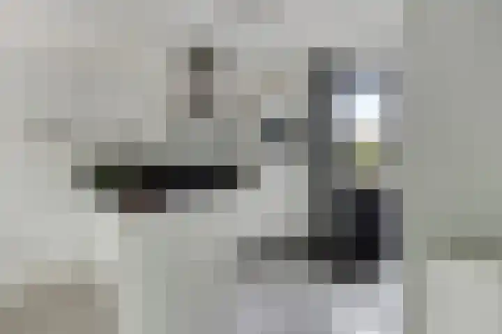 L. Rotgansstraat 44 Maarssen thumbnail 11
