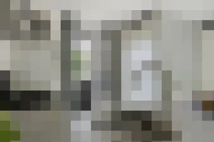 L. Rotgansstraat 44 Maarssen thumbnail 13