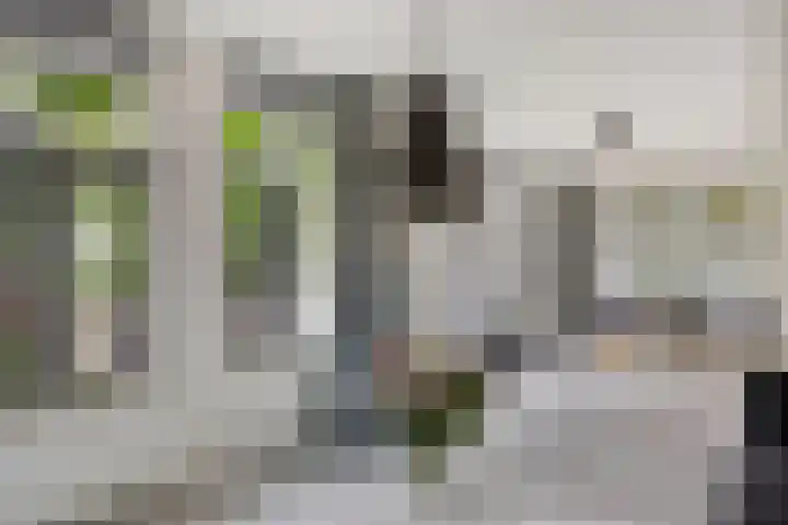 L. Rotgansstraat 44 Maarssen thumbnail 5