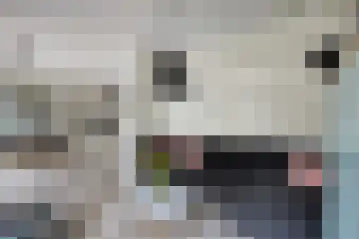 L. Rotgansstraat 44 Maarssen thumbnail 6