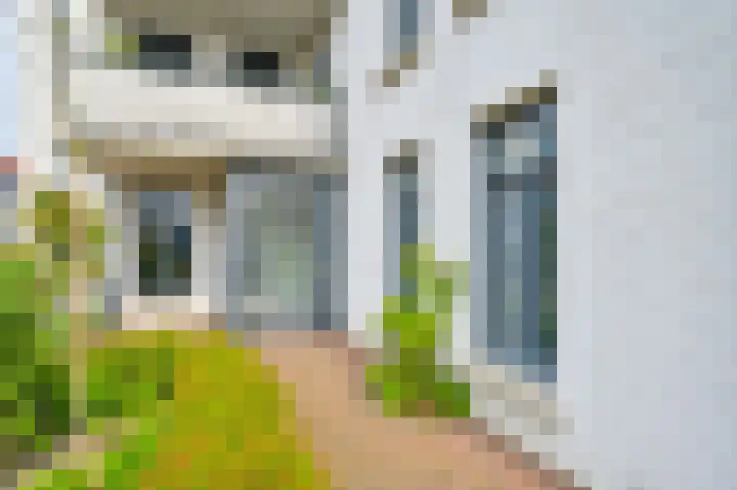 L. Rotgansstraat 45 Maarssen thumbnail 28