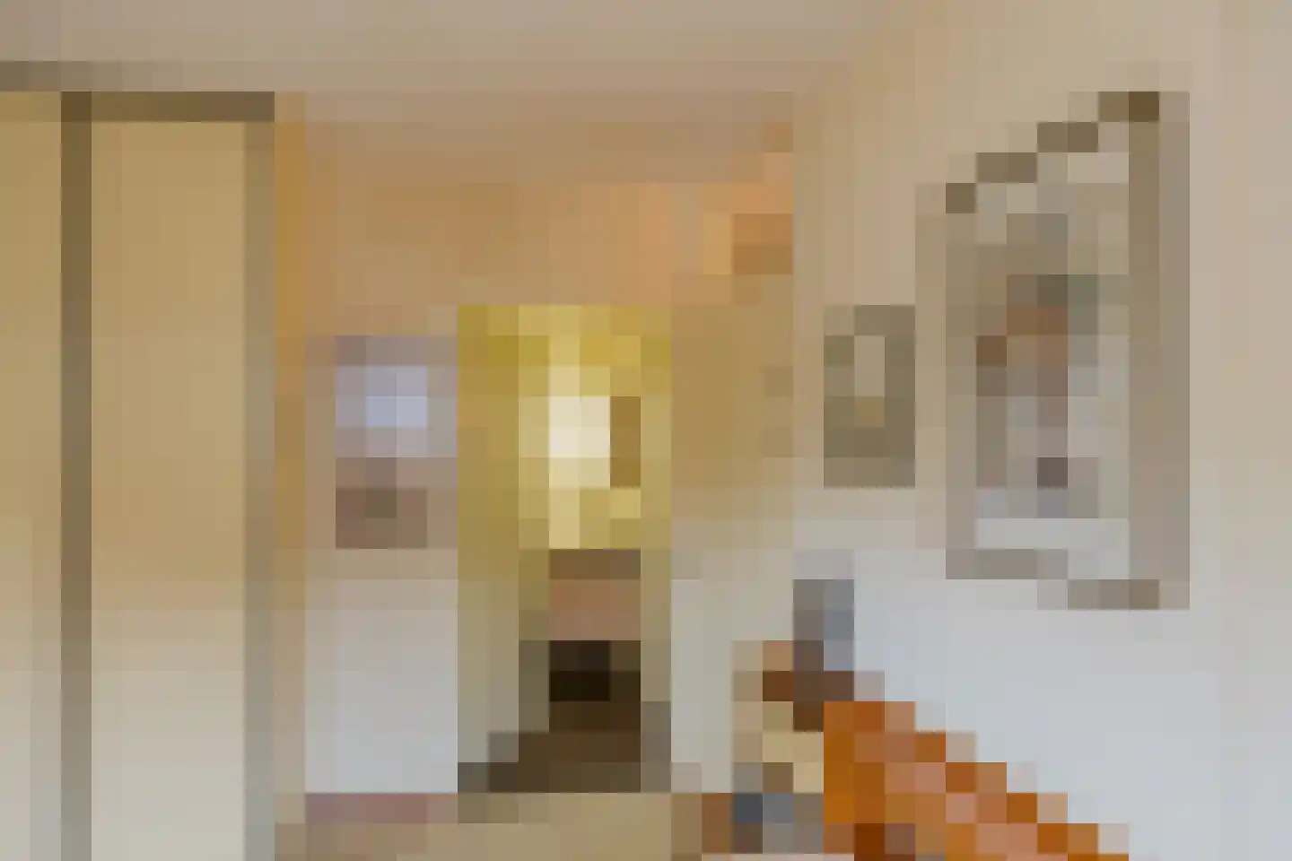 L. Springerstraat 120 Velserbroek thumbnail 30