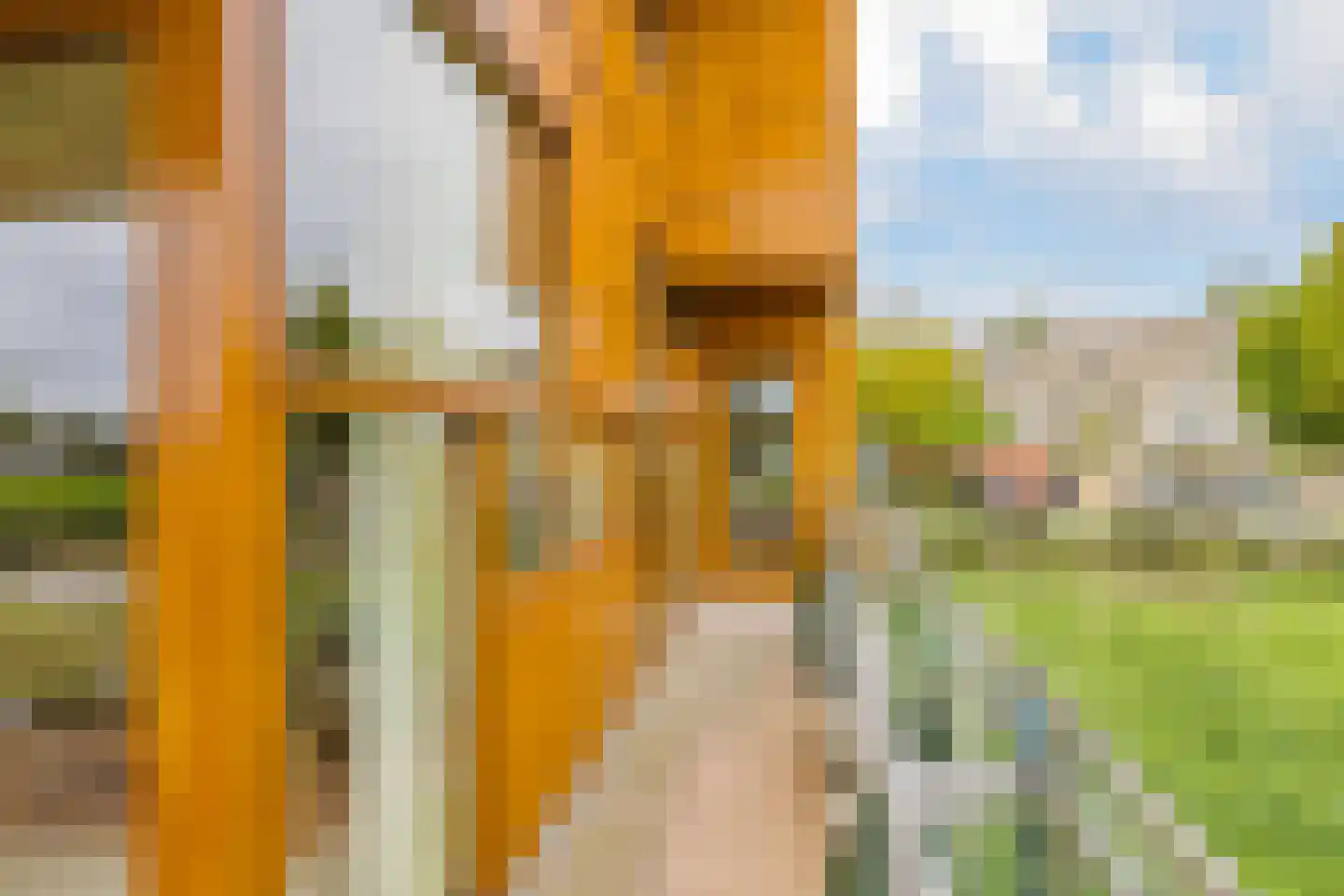 L. Springerstraat 120 Velserbroek thumbnail 38