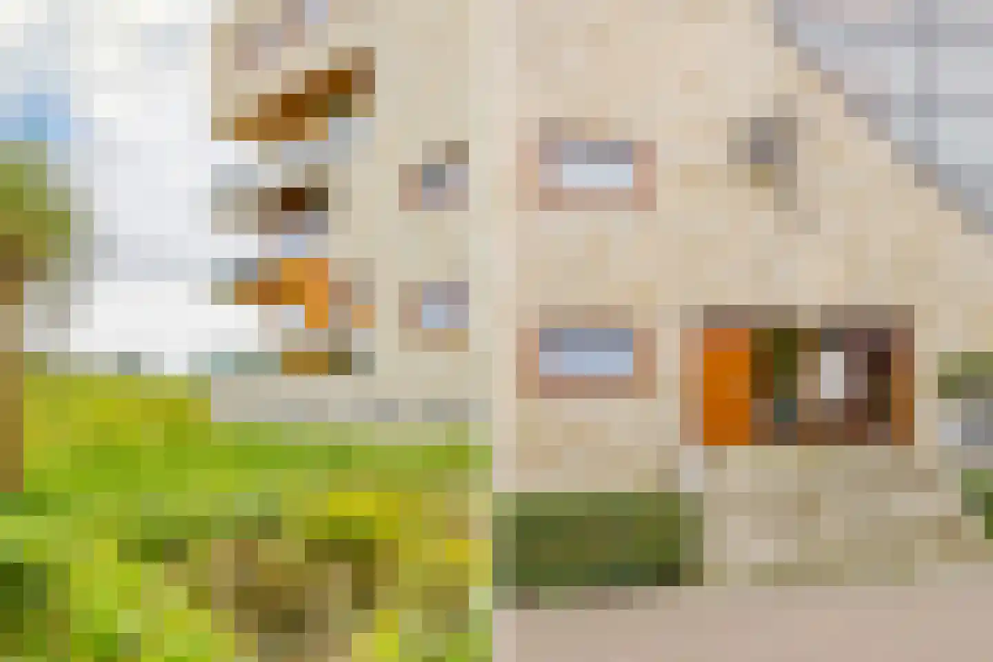 L. Springerstraat 120 Velserbroek thumbnail 8