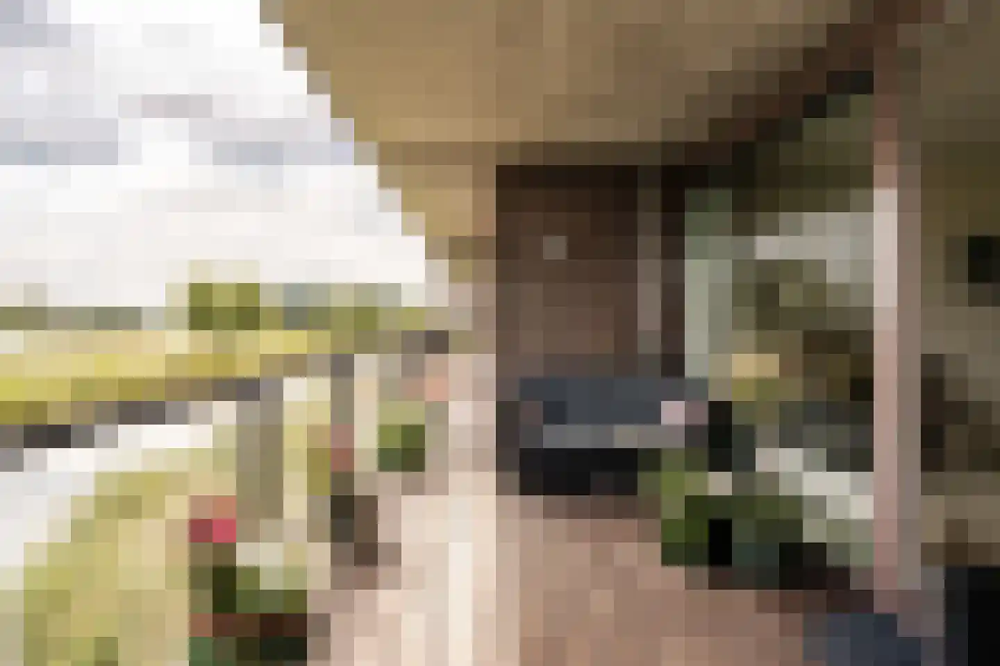 L. Springerstraat 140 Velserbroek thumbnail 5